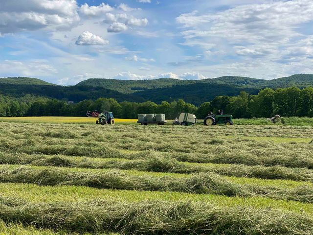 344 Morrie Road, Washington, VT 05675