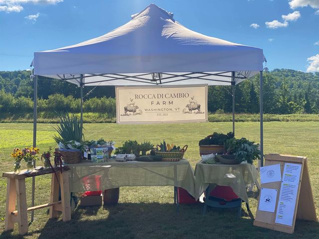 344 Morrie Road, Washington, VT 05675