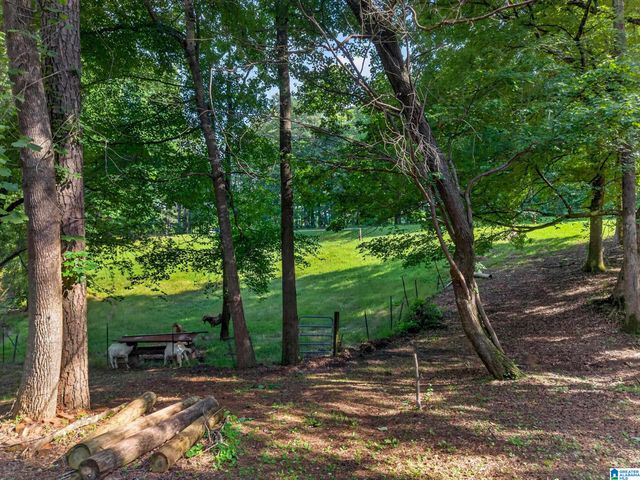 1952 COUNTY ROAD 24, Delta, AL 36258