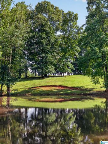 1952 COUNTY ROAD 24, Delta, AL 36258