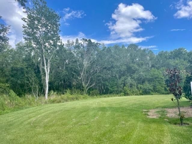 2986 DEER PINE TRAIL, Land O Lakes, FL 34638