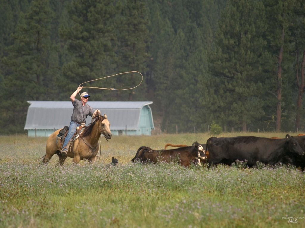 Blk 10 Lot 5 Whitewater Way, Garden Valley, ID 83622 photo 24