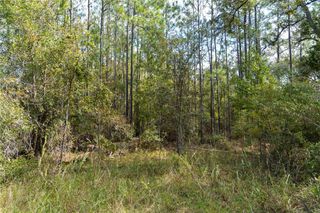 SE 918TH ST, Old Town, FL 32680
