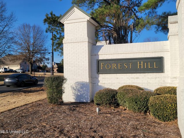 13165 Coldwater Drive, Olive Branch, MS 38654