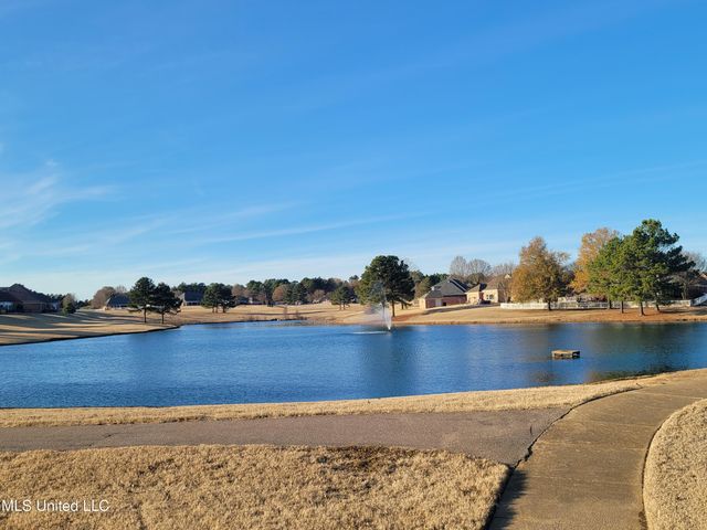 13165 Coldwater Drive, Olive Branch, MS 38654