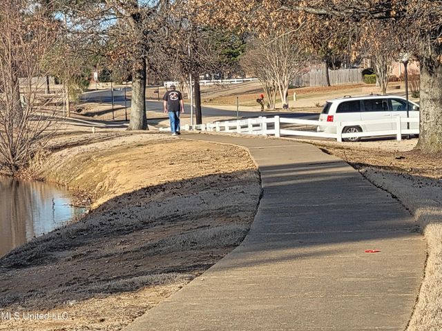 13165 Coldwater Drive, Olive Branch, MS 38654