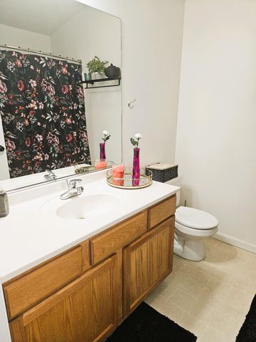 1164 S Virginia Street, Hobart, IN 46342