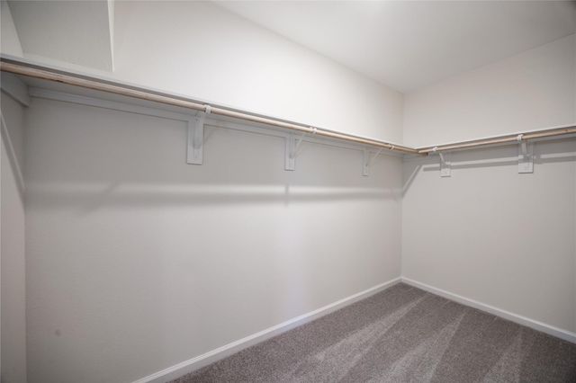 31114 Gayle Prairie Oaks Street, Waller, TX 77484