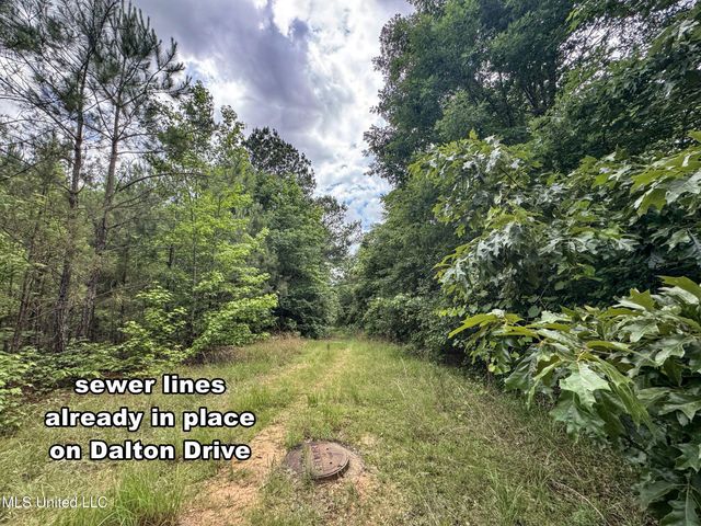 Jacinto Road, Booneville, MS 38829