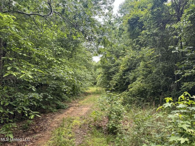 Jacinto Road, Booneville, MS 38829