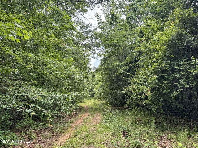 Jacinto Road, Booneville, MS 38829