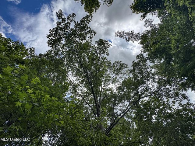 Jacinto Road, Booneville, MS 38829
