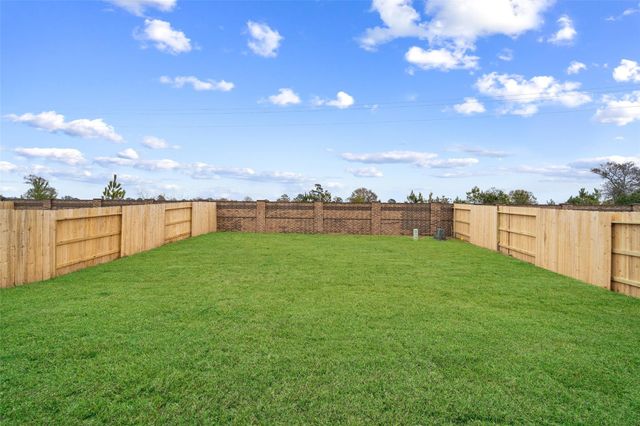 19910 Palermo Shores Drive, Hockley, TX 77447