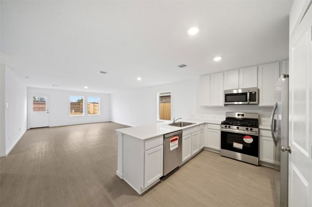 19910 Palermo Shores Drive, Hockley, TX 77447