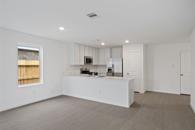 19910 Palermo Shores Drive, Hockley, TX 77447