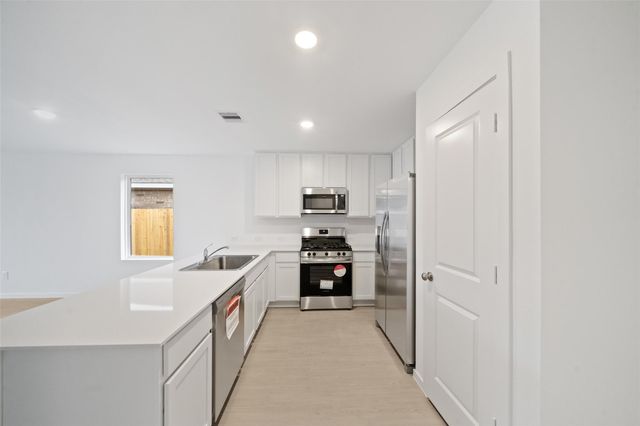 19910 Palermo Shores Drive, Hockley, TX 77447