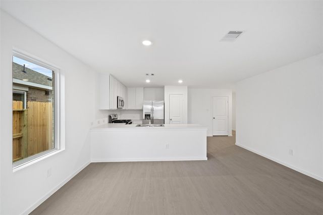 19910 Palermo Shores Drive, Hockley, TX 77447