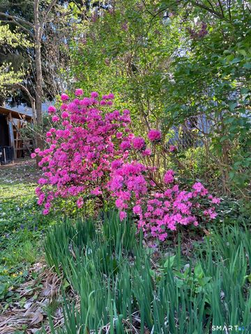 194 Canner Street, New Haven, CT 06511