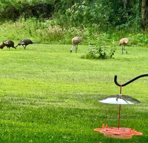 2906 Innsdale Avenue N, Lake Elmo, MN 55042