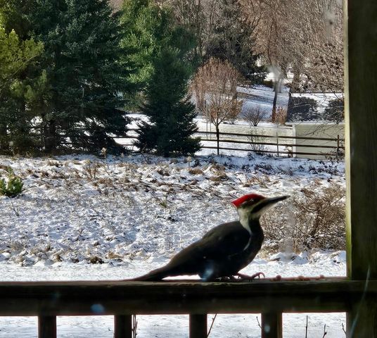 2906 Innsdale Avenue N, Lake Elmo, MN 55042