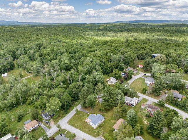 14 Cannon Boulevard, Mountain Dale, NY 12763