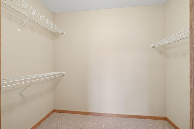 1317 Waters Path, Woodbury, MN 55129