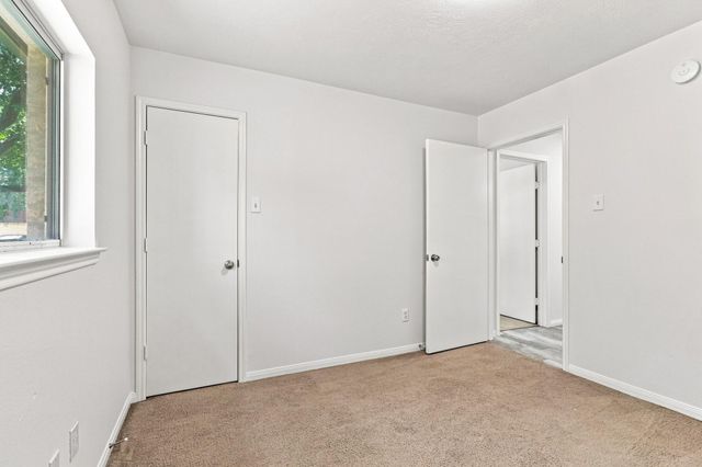 17234 Trace Glen Lane, Houston, TX 77083