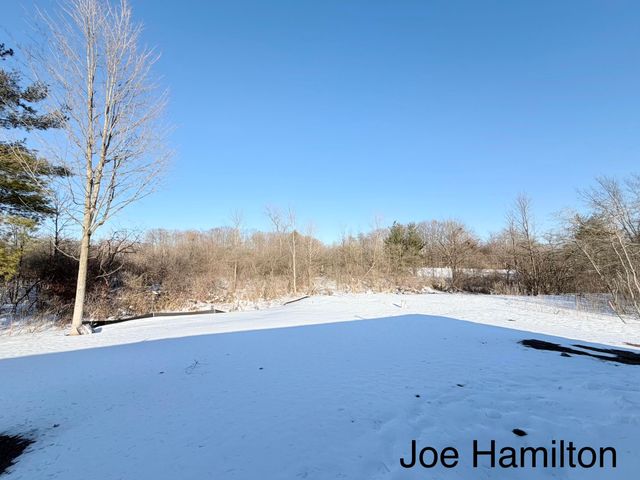 15734 Hall Road, Bailey, MI 49303