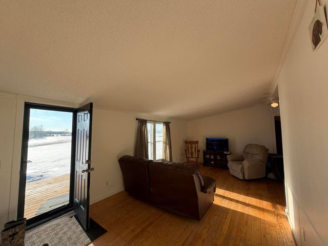 15734 Hall Road, Bailey, MI 49303