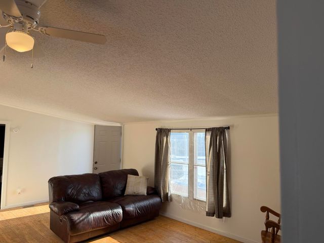 15734 Hall Road, Bailey, MI 49303