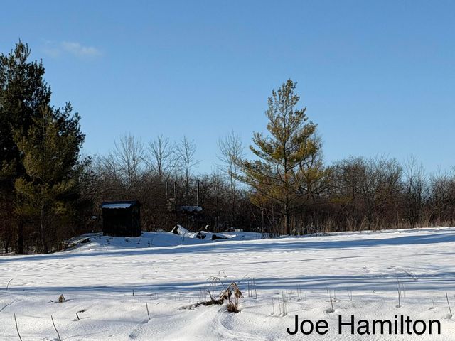 15734 Hall Road, Bailey, MI 49303