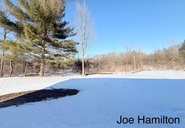 15734 Hall Road, Bailey, MI 49303