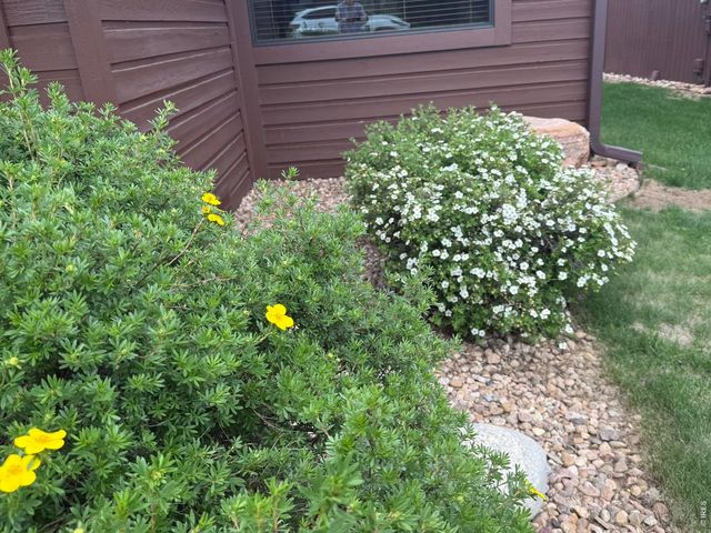 1449 Matthew Cir, Estes Park, CO 80517