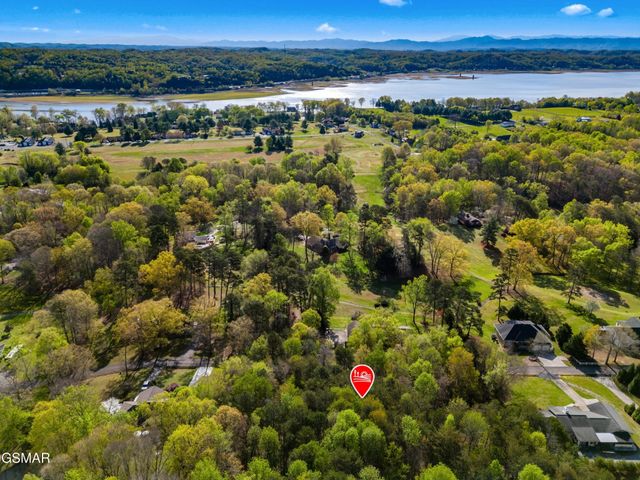 13 Back Nine Drive, Baneberry, TN 37890