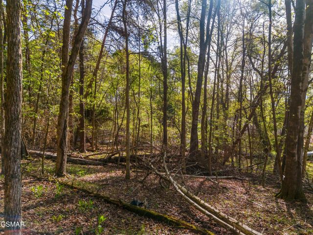 13 Back Nine Drive, Baneberry, TN 37890
