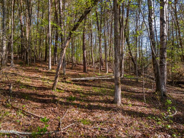 13 Back Nine Drive, Baneberry, TN 37890