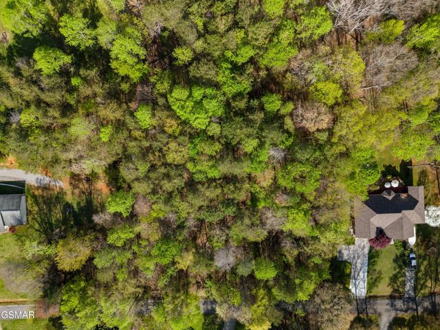 13 Back Nine Drive, Baneberry, TN 37890