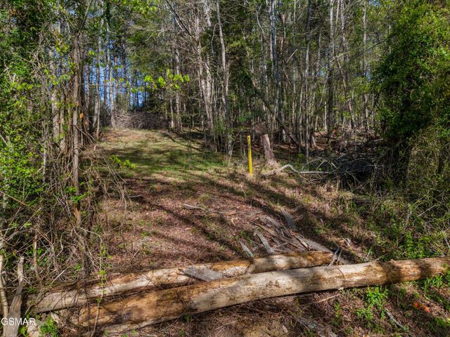 13 Back Nine Drive, Baneberry, TN 37890