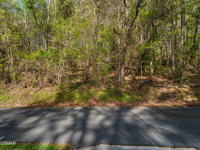 13 Back Nine Drive, Baneberry, TN 37890