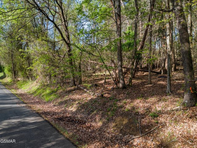 13 Back Nine Drive, Baneberry, TN 37890