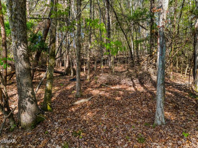 13 Back Nine Drive, Baneberry, TN 37890