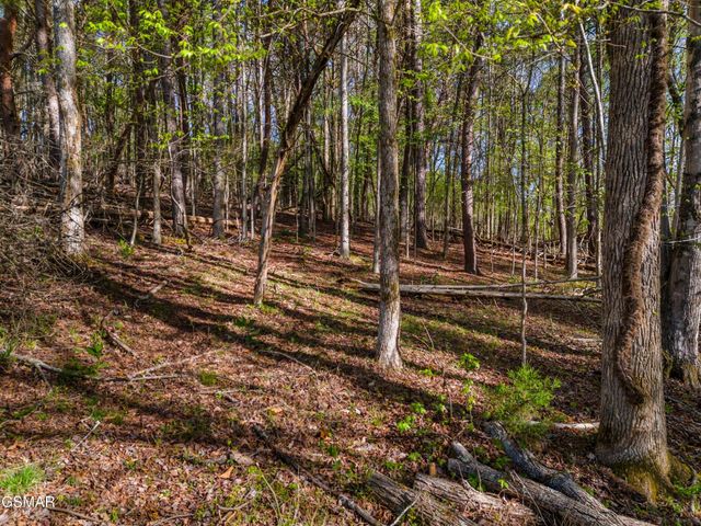 13 Back Nine Drive, Baneberry, TN 37890