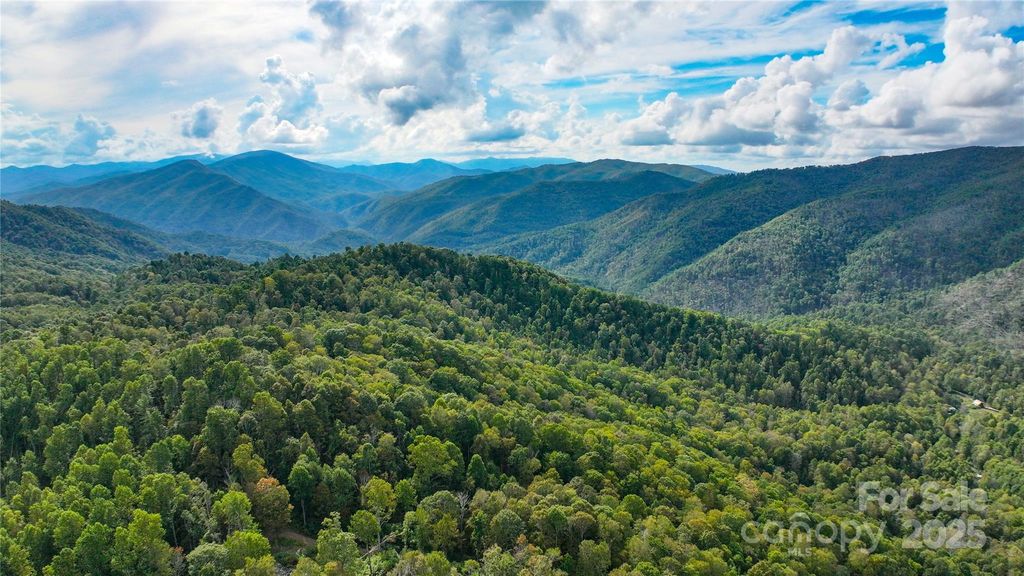 999 Poplar Creek Road, Green Mountain, NC 28740