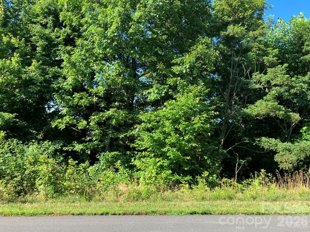 0 Grey Rock Parkway 250, Lake Lure, NC 28746