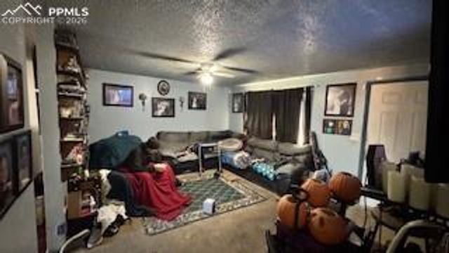 4550 London Lane, Colorado Springs, CO 80916