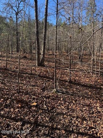 123 James Drive, West End, NC 27376