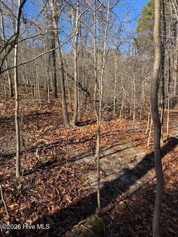 123 James Drive, West End, NC 27376