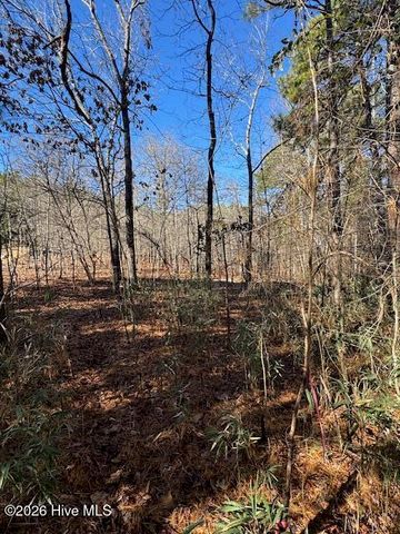 123 James Drive, West End, NC 27376