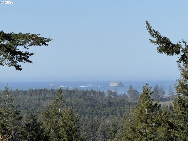 42528 HENSLEY HILL Rd, Port Orford, OR 97465