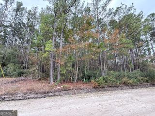 0 Raymona, Brooklet, GA 30415